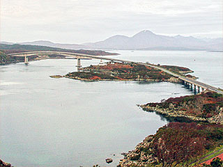 10 February 2008
