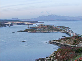 17 January 2008