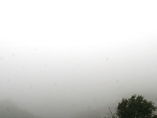 22 August 2007
