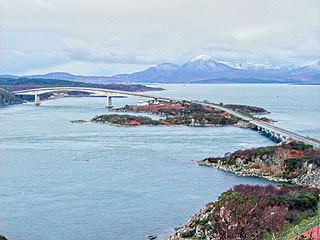 24 January 2008