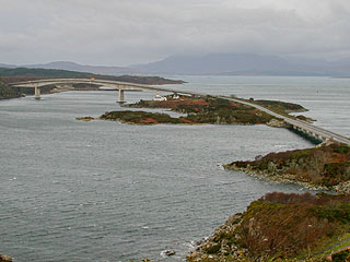 25 February 2008