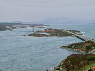 26 January 2008