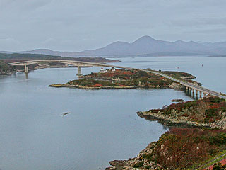 29 January 2008