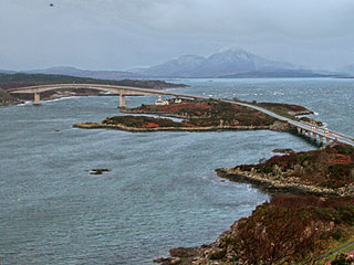 31 January 2008