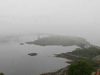 31 May 2008