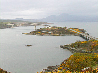 3 May 2008