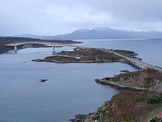8 January 2008